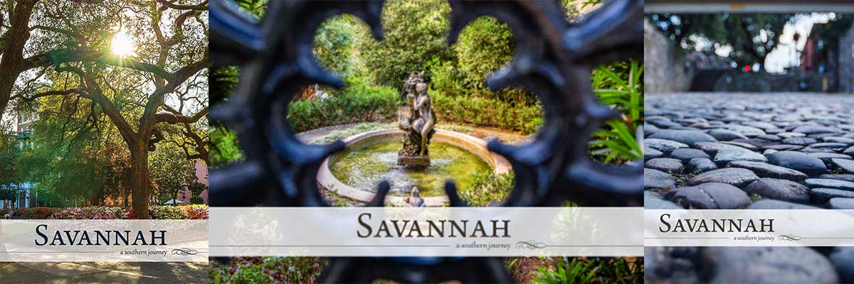 Savannah: A Southern Journey Photo Contest 2022