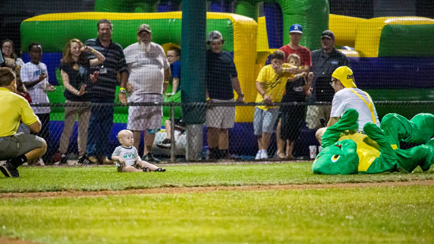 Toddler v Turtle Race... or Rest? Between Innings Entertainment at a Savannah Bananas Game